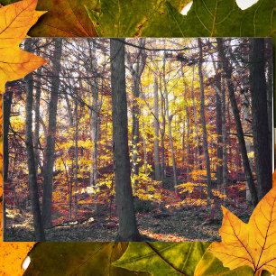 Black And White Colourful Autumn Postcard