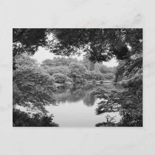 Black and white, cool, unique nature and lake postcard (Front)