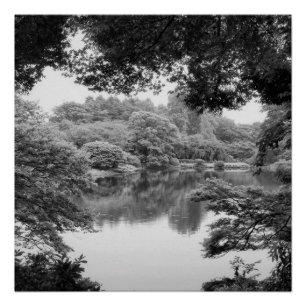 Black and white, cool, unique nature and lake poster