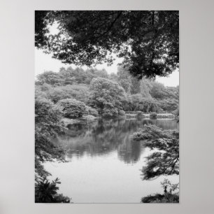 Black and white, cool, unique nature and lake poster