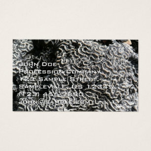 Black and White Coral I Abstract Nature Photo