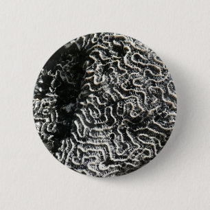 Black and White Coral I Abstract Nature Photo 6 Cm Round Badge