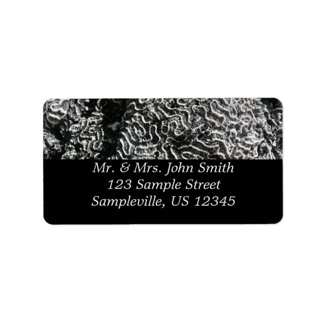 Black and White Coral I Abstract Nature Photo Label (Front)