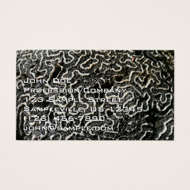 Black and White Coral II Abstract Nature Photo (Front)