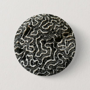 Black and White Coral II Abstract Nature Photo 6 Cm Round Badge