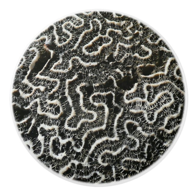 Black and White Coral II Abstract Nature Photo Ceramic Knob (Front)