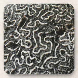 Black and White Coral II Abstract Nature Photo Coaster