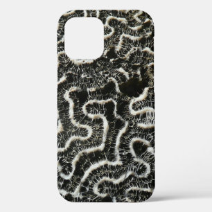 Black and White Coral II Abstract Nature Photo iPhone Case