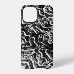 Black and White Coral II Abstract Nature Photo iPhone Case