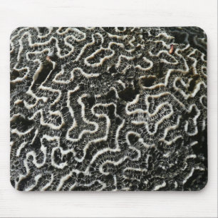 Black and White Coral II Abstract Nature Photo Mouse Pad