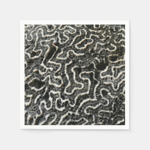 Black and White Coral II Abstract Nature Photo Napkin