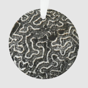 Black and White Coral II Abstract Nature Photo Ornament