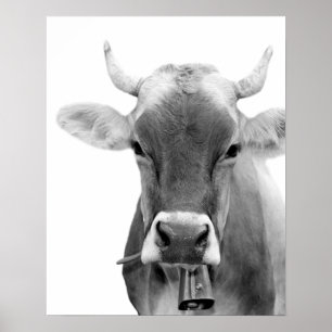 Black and white cow farm animal livestock photo poster