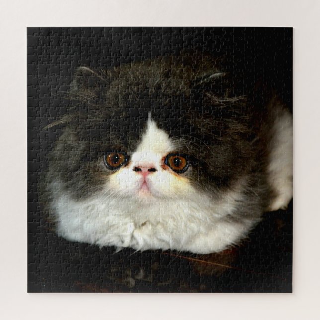 Black and White cute kitten Kitten Jigsaw Puzzle (Vertical)