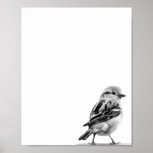 Black and White Cute Wild Bird Photo Poster