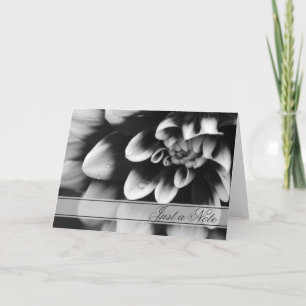 Black and White Dahlia Just a Note Card