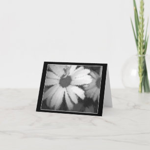 Black and White Daisy Card