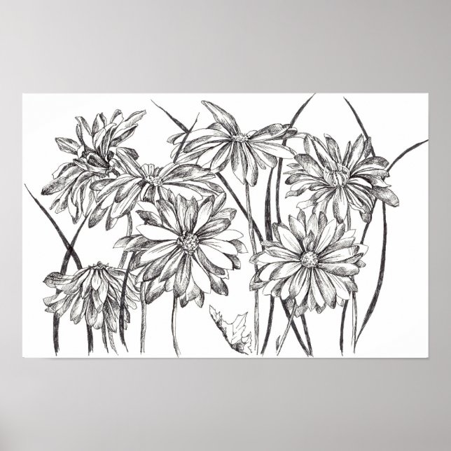 Black and White Daisy Flower Garden Drawing Poster (Front)