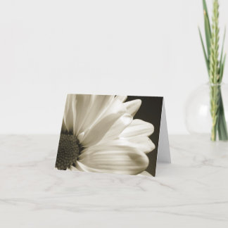 Black and White Daisy Notecard
