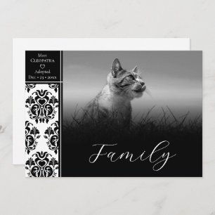 Black and White Damask Pet Announcement