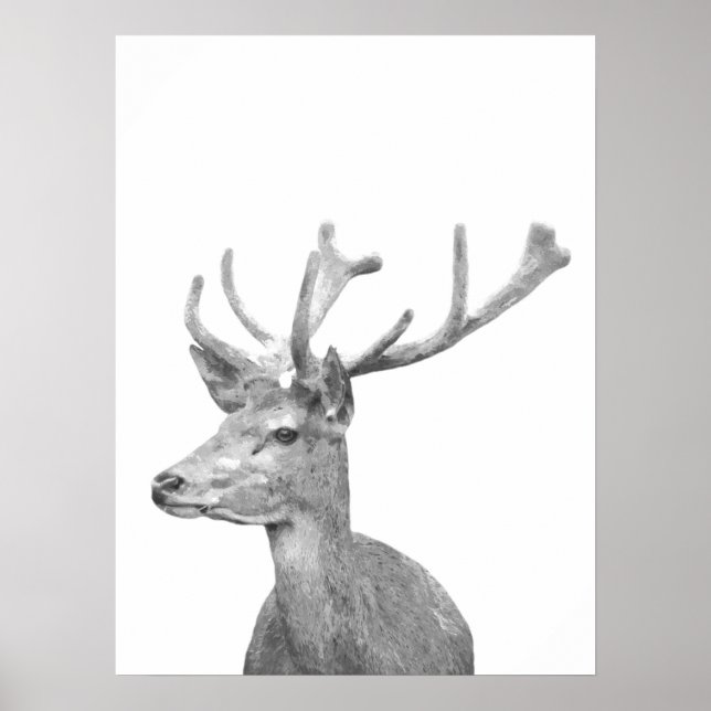 Black and white deer animal portrait poster (Front)