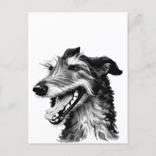 Black and white Deerhound Cute Hound Postcard