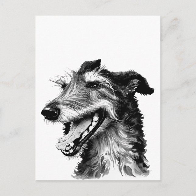 Black and white Deerhound | Cute Hound Postcard (Front)