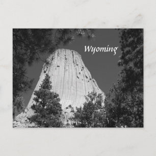 Black and White Devils Tower Postcard