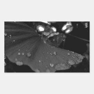 Black and White Dew on Leaf Rectangular Sticker