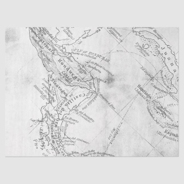 Black and White Digital Map Series Design 14 Tissue Paper (Front)