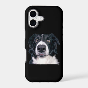 Black and White Dog Face