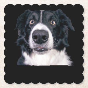 Black and White Dog Face Paper Coaster