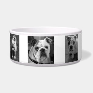 Black and White Dog Photos and Name Personalised