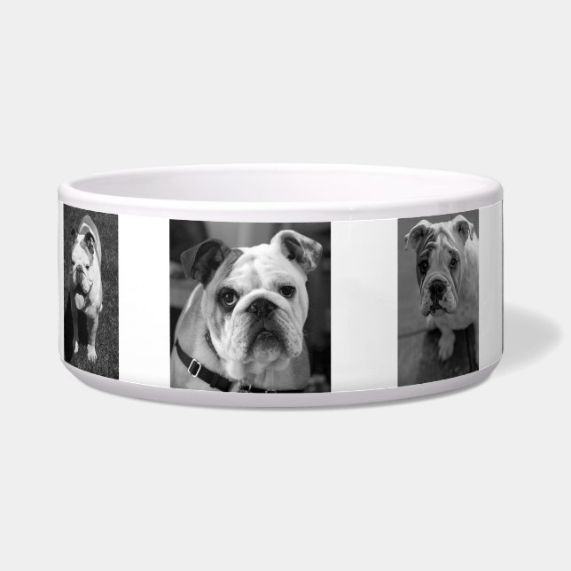 Black and White Dog Photos and Name Personalised (Left)