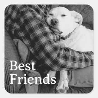 Black and White Dog with Dad Photo Best Friends Square Sticker