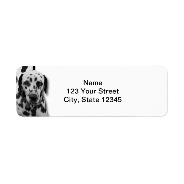 Black and White Dotty Dalmatian Return Address Label (Front)