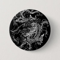 Black and White Dragon