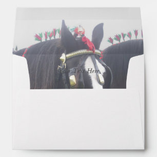 Black and white dray horse in colourful tack photo envelope