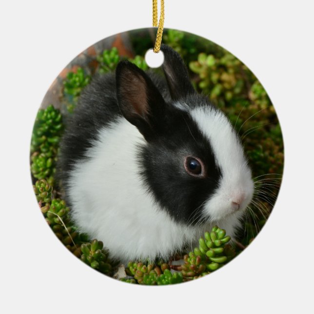 Black and White Dutch Dwarf Mini Bunny Rabbit Ceramic Ornament (Front)