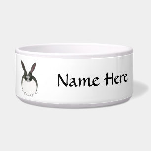 Black and White Dutch Rabbit.