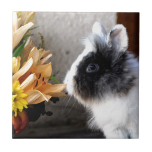 Black and white dwarf rabbit ceramic tile