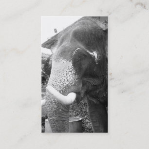 Black and White Elephant Business Card