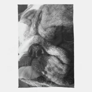 Black and White English Bulldog Puppy Tea Towel