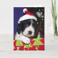 Black and White English Springer Spaniel Christma