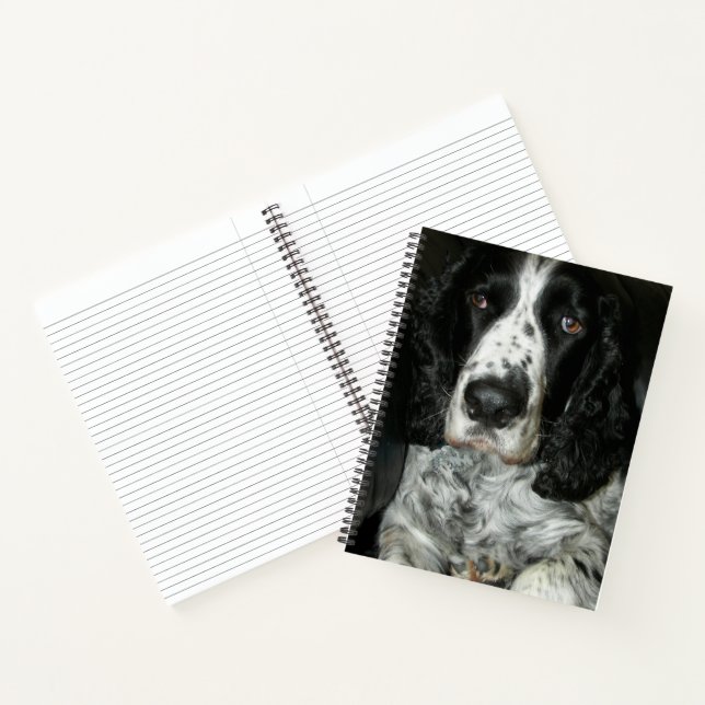 Black and White English Springer Spaniel Notebook (Inside)