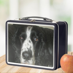 Black and White English Springer Spaniel Photo Metal Lunch Box