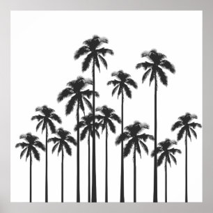Black and White Exotic Tropical Palm Trees Poster