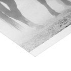 Black And White Fade Out Horses