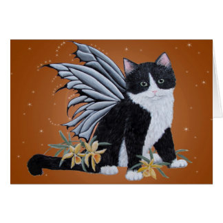 Black and White fairy Kitten