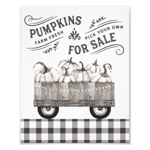 Black and White Fall Farmhouse Pumpkins Wall Art